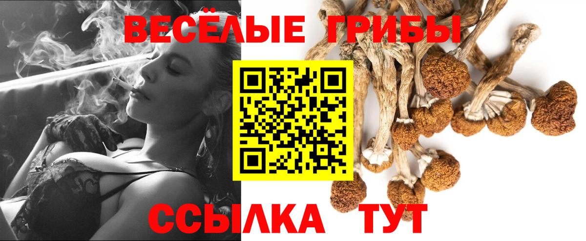 Псилоцибиновые грибы Cubensis Каменка