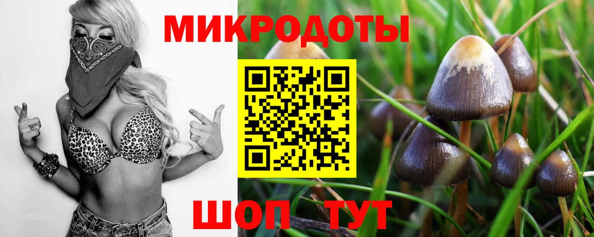 Галлюциногенные грибы Magic Shrooms  Вход с VPN  Каменка 